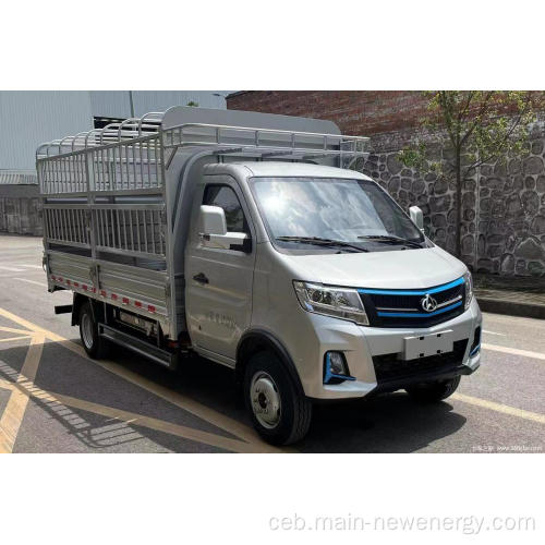 Ang brand sa China nga barato nga gamay nga electric truck electric cargo van ev ac changeo lfp truck